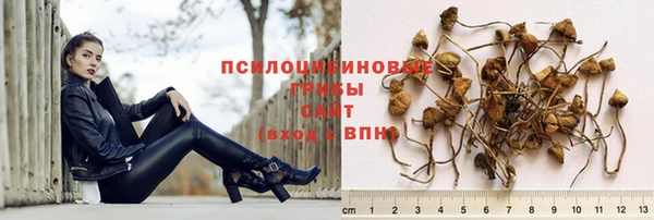 mix Горняк