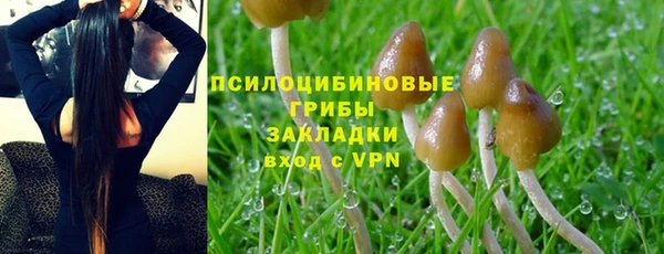 mix Горняк