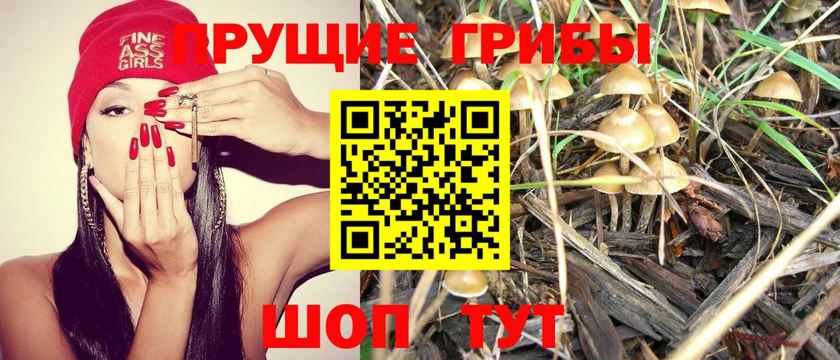 Пыть-Ях  Псилоцибиновые грибы Psilocybe  Галлюциногенные грибы мухоморы  Вход с VPN 